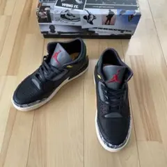 ナイキエアジーダン3レトロSE ブラックホワイトグリーン