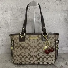 COACH Y2K Signature Zip Brown Tote Bagのサムネイル