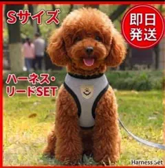 即日匿名発送グレー Sメッシュ ハーネスリード セット子犬、猫ちゃんのサムネイル