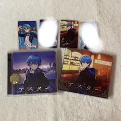 ころん アスターセット バラ売り可