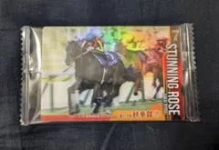 サラブレッドホースコレクション　第３R スタニングローズ