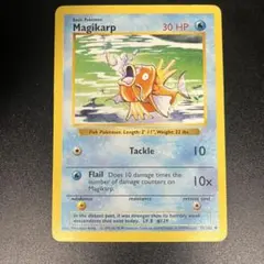 英語版初期　Magikarp 1st Edition shadowless
