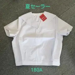 Item thumbnail for item 3e506e47-e78e-4167-b09d-27bca68de170