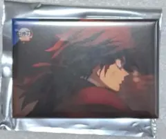 鬼滅の刃 冨岡義勇 全方位コレクション缶バッジ⑤