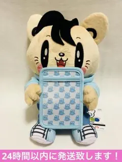 ジェ猫　カードケース付きBIGぬいぐるみ 【数原龍友】