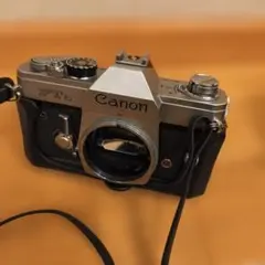 Item thumbnail for item 36f20803-b1a3-4f40-a108-3e310c4c0bc2