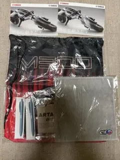 Item thumbnail for item ae43f834-c56f-4422-b14e-b81ce069d4a6