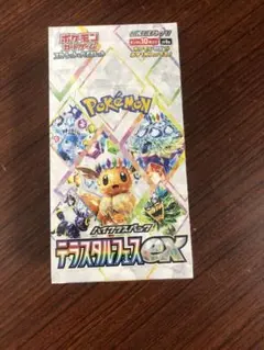 【シュリンク付き】ポケモンカードゲーム テラスタルフェス EX 10枚入り