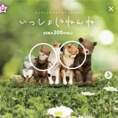 いっしょにねんね