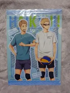 ハイキュー　血縁シリーズクリアファイル　月島蛍、月島明光