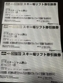 スキージャム勝山 リフト券 早割（全日）3枚