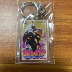 BORUTO 10주년 코믹아크릴키홀더 13권 우체국 NARUTO