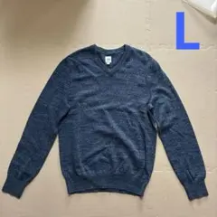 GAP OLD GAP メンズ　Vネックニットセーター　L