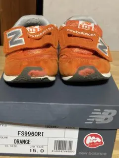 Item thumbnail for item 9a66b774-64f4-4901-a325-feed15851ce7