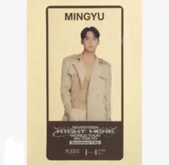 SEVENTEEN ミンギュ MINGYU 池袋 クリア しおり トレカ