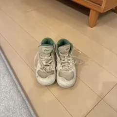 ASICS バスケットシューズ　LADY GELFAIRY 9