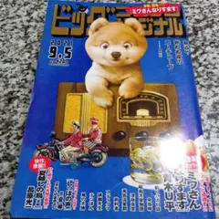 Item thumbnail for item 5a968891-f4d7-4481-b710-9f82a135a270