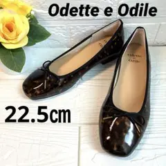 2026年最新】odette e odile レオパードの人気アイテム - メルカリ