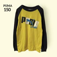 プーマ【150】長袖カットソー ラグランTシャツ キッズ ロンT