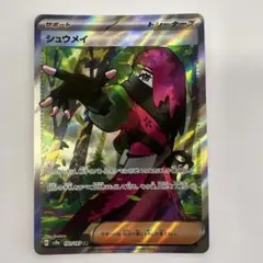 シュウメイ SR SV8a テラスタルフェスex 191/187