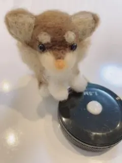 アッキー様 リクエスト 2点 まとめ商品