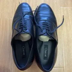 Item thumbnail for item 2b985000-b7dc-4fb6-bbd8-7fe007bcf208