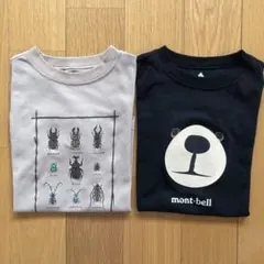 モンベル　mont-bell Tシャツ 2枚セット　モンベア　昆虫　定番　120