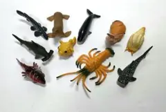 海の生き物 フィギュア 10体セット