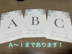 Item thumbnail for item 616f1932-2dc6-485f-bf0a-0cf6f8481e54