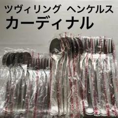 ツヴィリング ヘンケルス　ピロシュカ　ディナーセット〈24本セット〉※難あり ツヴィリング ヘンケルス ピロシュカ ディナーセット〈24本セット〉※難
