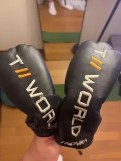 HONMA TW747 ユーティリティ U19 U22 2本セットのサムネイル