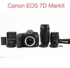 SDカード・CFカード・バッテリー2個付き♪Canon 7D MARKⅡ ボディ