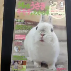 うちのうさぎのキモチがわかる本 春&夏2017