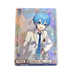 2025年最新】ヴァイシュシュバルツ すとぷり サインの人気