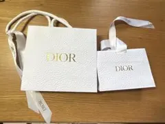 Diorショップ袋　 大小セット