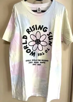 RISING SUN TO THE WORLD Tシャツ M