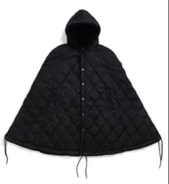 Item thumbnail for item 0aa10cf4-9d6c-4813-926e-49063aa40465