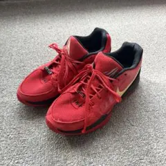 NIKE JA 2 NIGHTMARE EP US 7.5 25.5cm