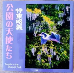 Item thumbnail for item e9a5cd8d-edbc-40ff-90cf-d5a8d6b9aaba