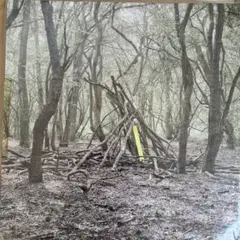 Item thumbnail for item 18a0860d-4716-41c1-9367-31b69fe24d96