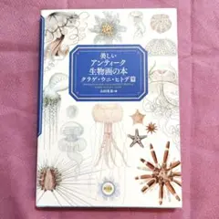 美しいアンティーク生物画の本 クラゲ・ウニ・ヒトデ篇
