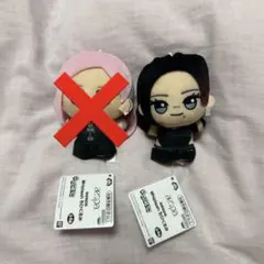 aespa カリナ ぬいぐるみ 2点セット 외양이 マスター 新品 Qoo10] Aespa カリナ ウィンター マスタ