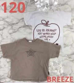 男の子　120 ブリーズ　ディラッシュ　半袖　Tシャツ　りんご　まとめ売り　夏