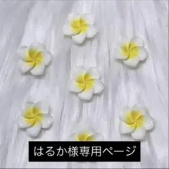 はるか様専用ページ♡♡
