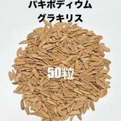 ゴリラ様 リクエスト 2点 まとめ商品