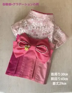 現品のみ【桜模様×グラデーションの袴】ハンドメイド　犬服　袴　着物　小型犬