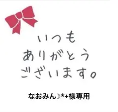 なおみん☽*+様専用
