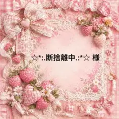 ☆*:.断捨離中.:*☆　様