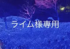 ☆『ライム様専用 』宝塚チラシ/バラ売り