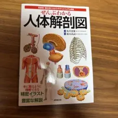 Item thumbnail for item d248be5d-21dc-422b-8e2d-073abeae4118